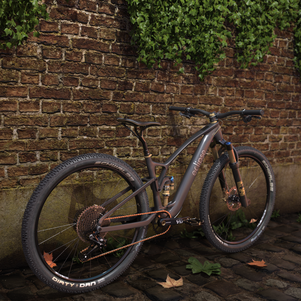 MtnBike_Wall_rear