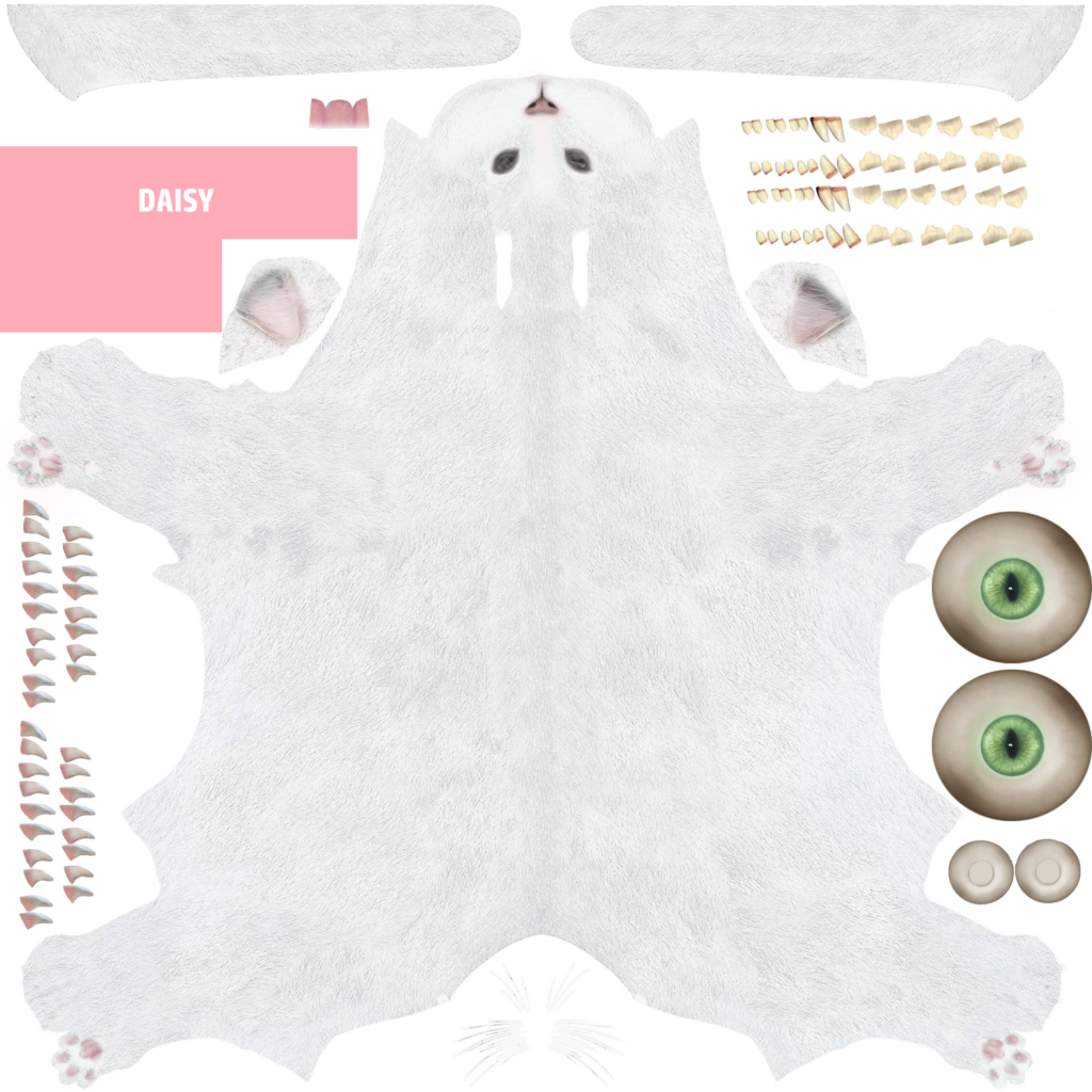 Cat_Texture_White4