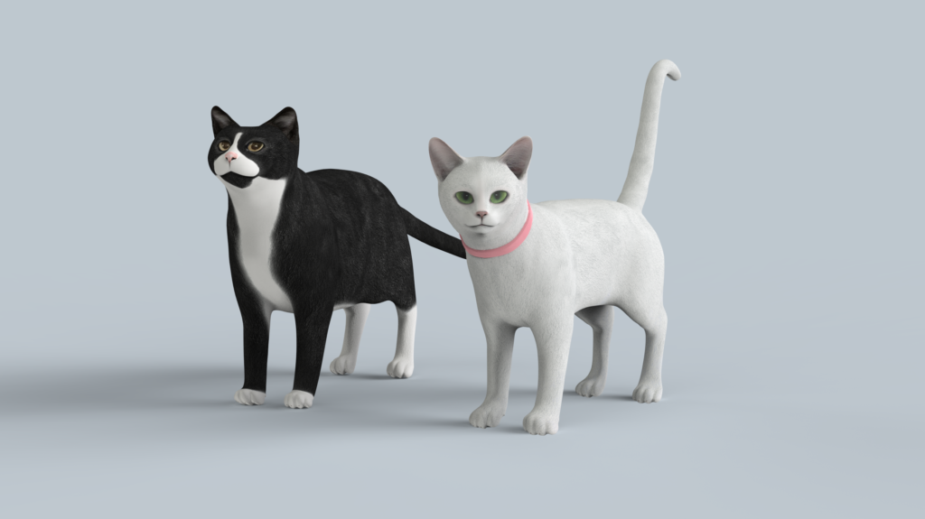 Cats.1523.32
