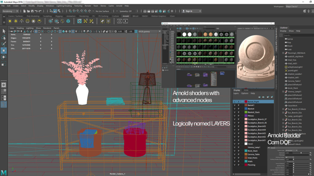 Maya_Screen_Info