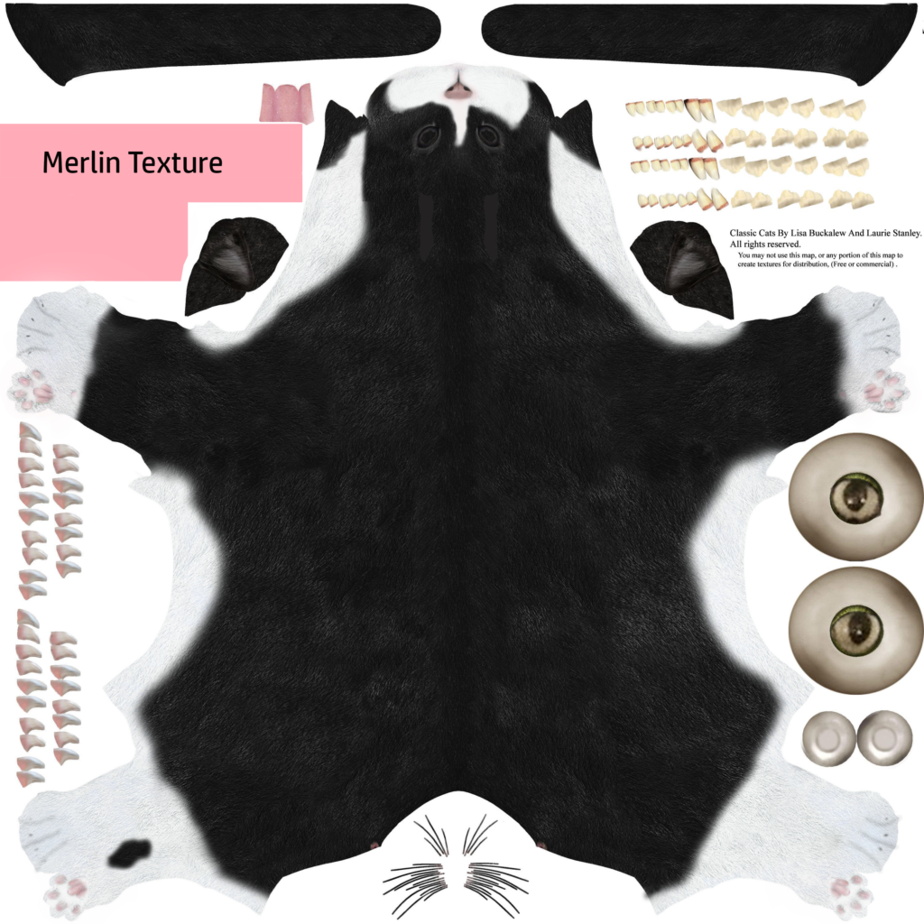 Merlin_Cat_Texture