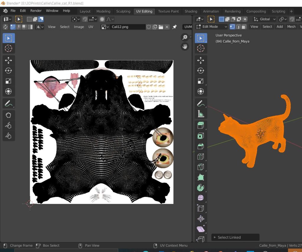 UV_Map_Cali