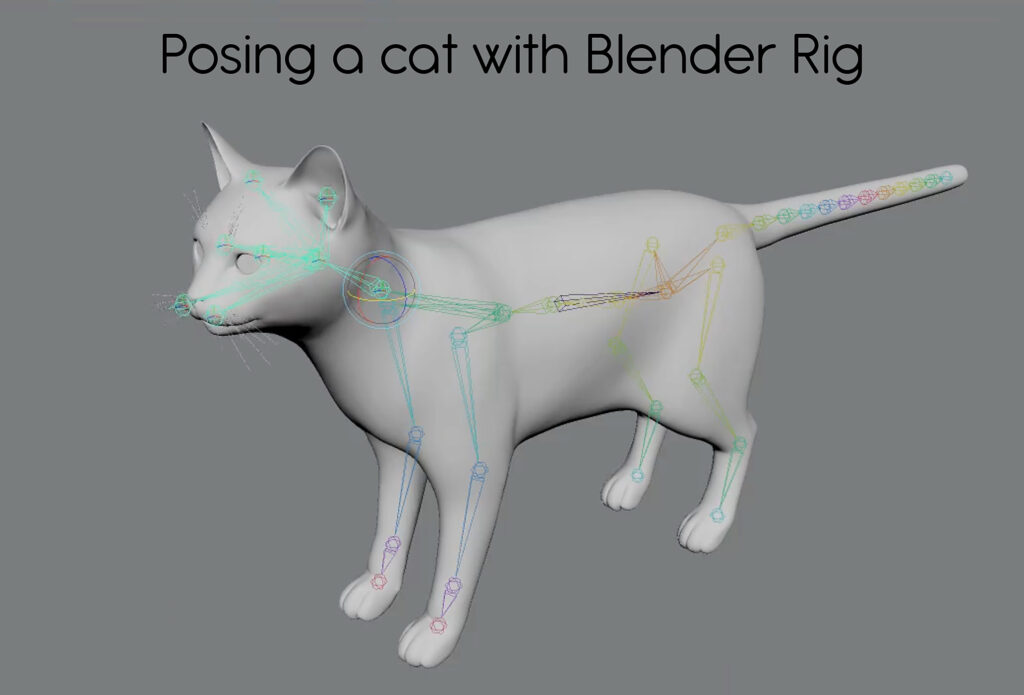 blender_rig