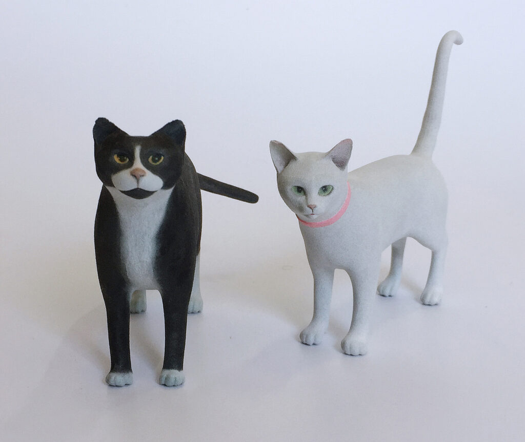 cats5a