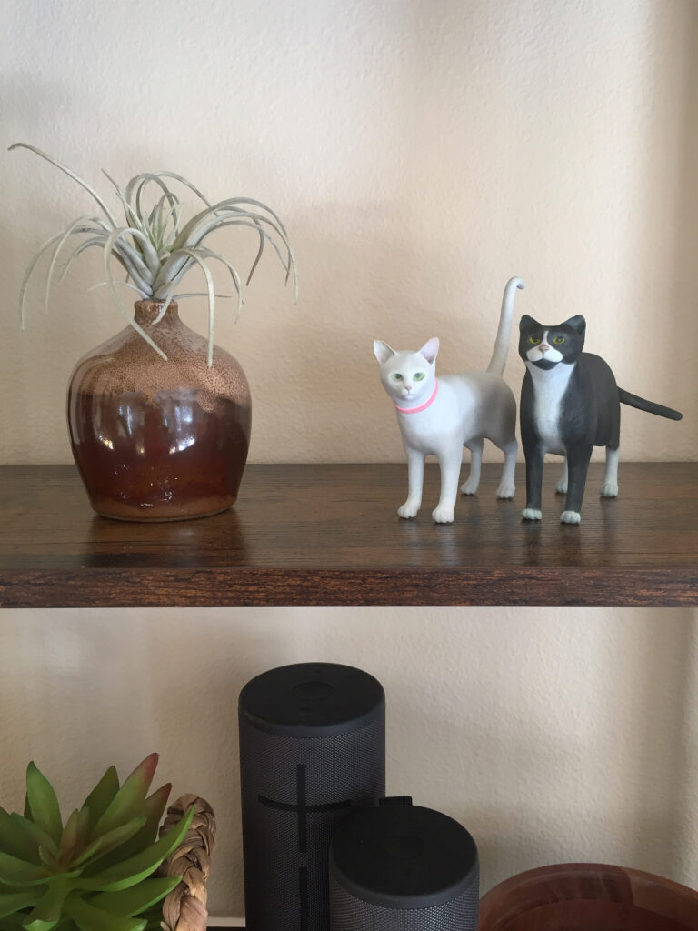 catsonshelf