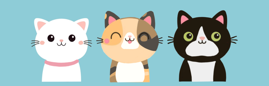 Cats24