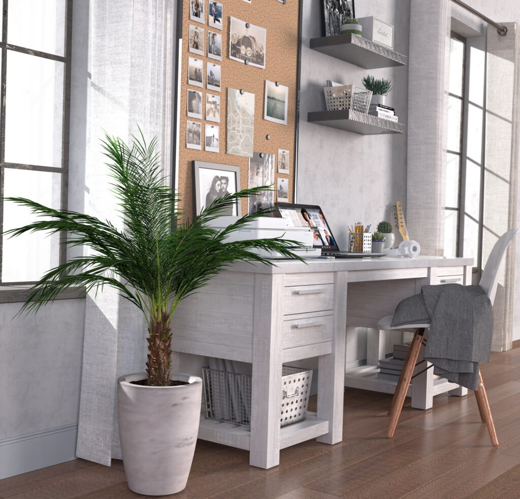 RH_Vaughn_Desk_PlantView
