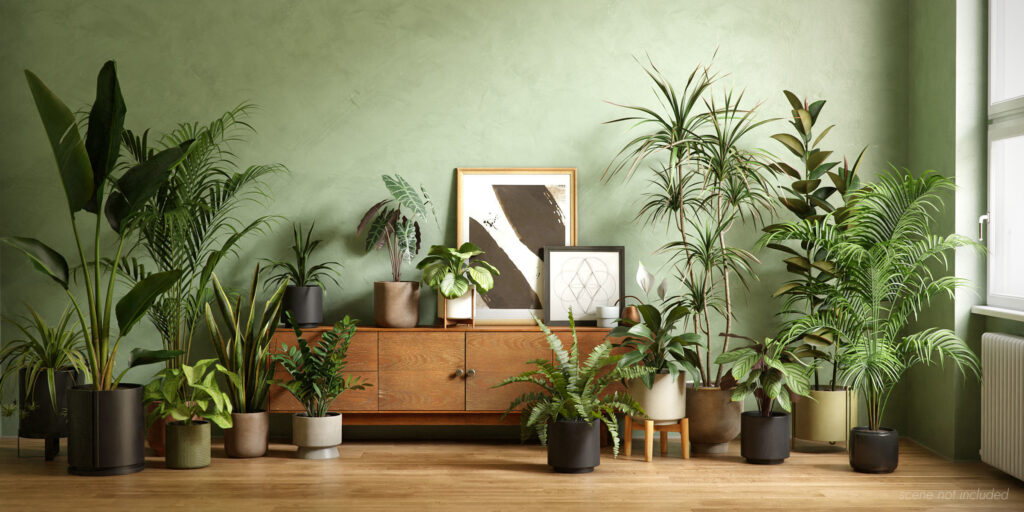plant-collection-50-models