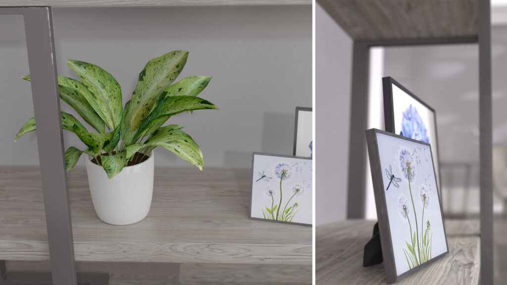 plant_pictureframes