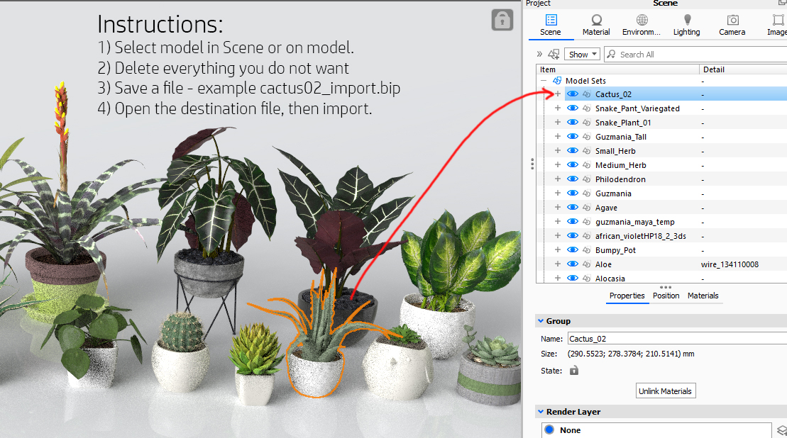 plants_instructions