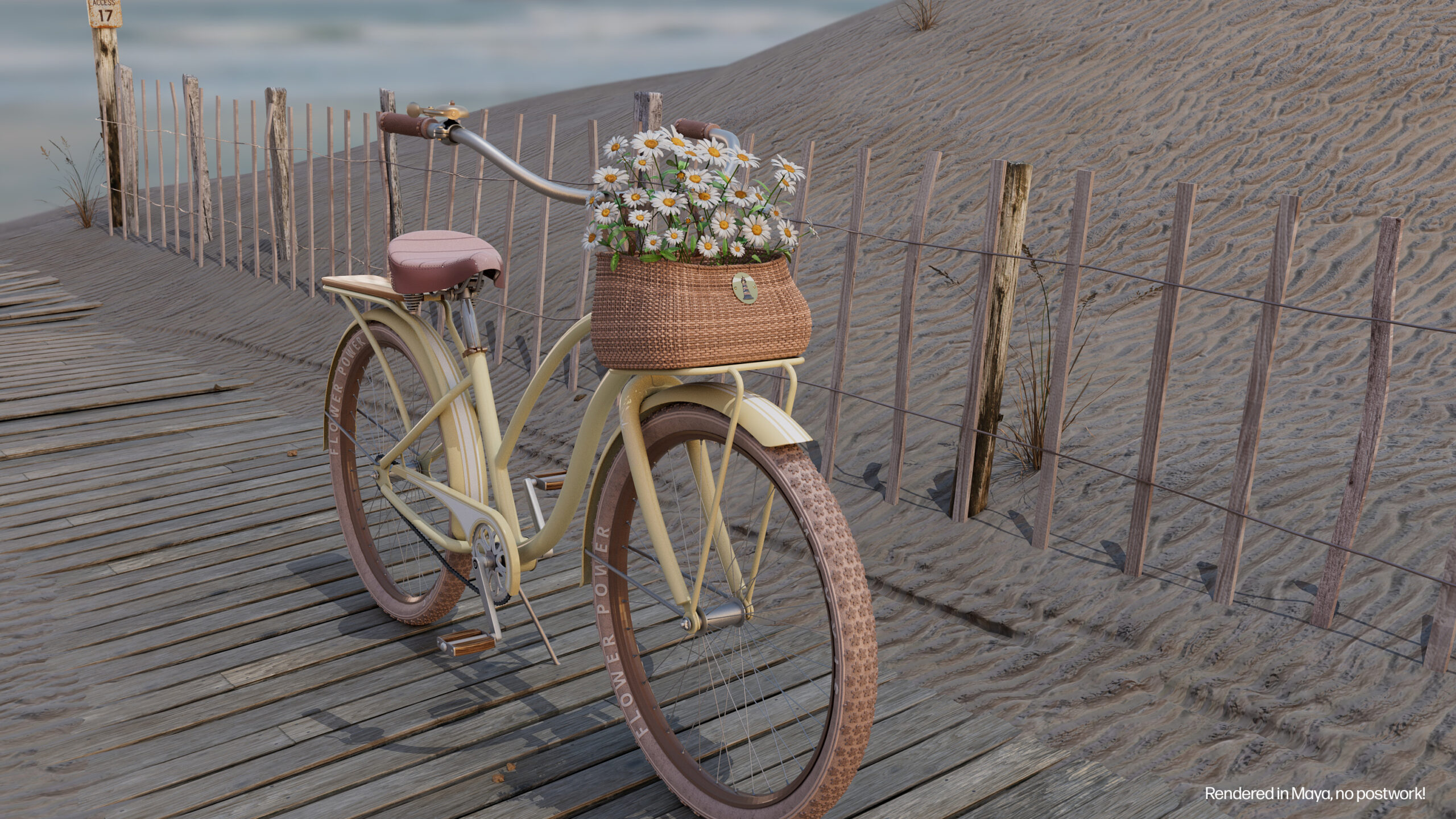 BeachBike_sideview_text