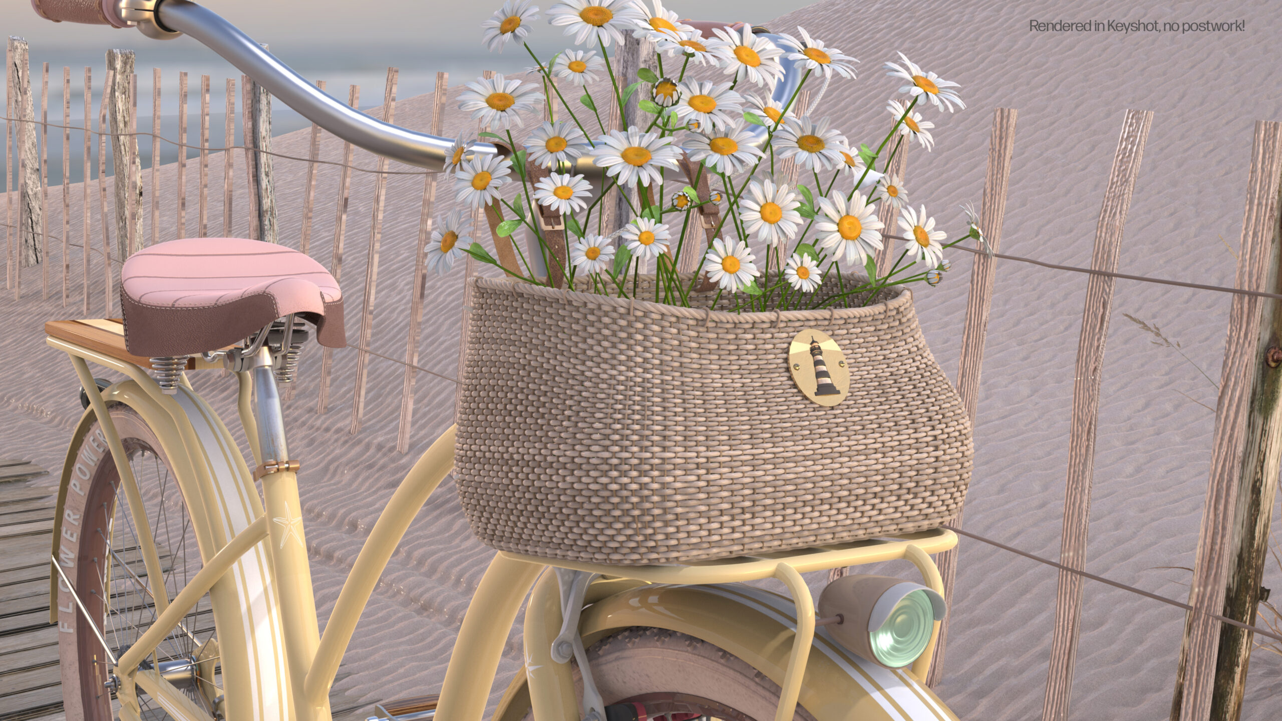 Beach_Cruiser_Womens_Daisys_Basket__KS_Text