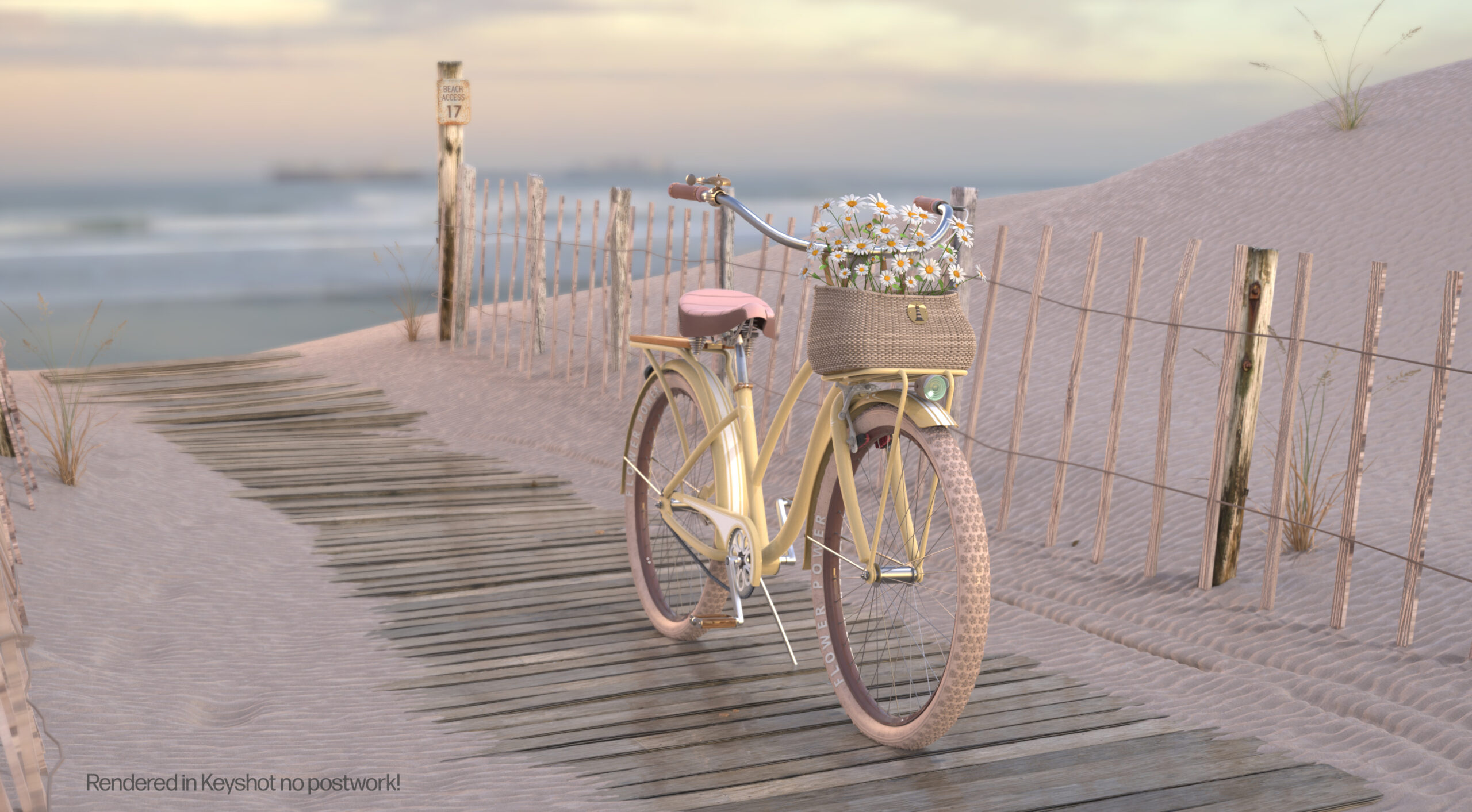 Beach_Cruiser_Womens_Daisys_KS_Text